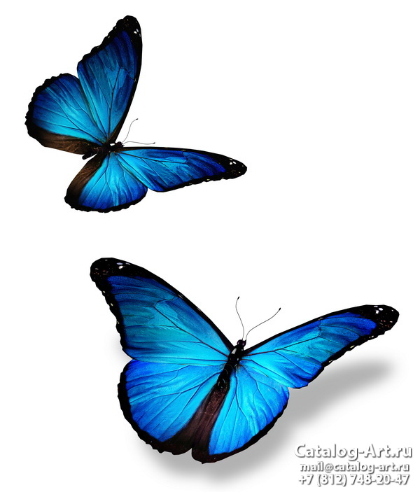  Butterflies 42